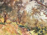 John Singer Sargent Trees on the Hillside at Majorca Spain oil painting reproduction